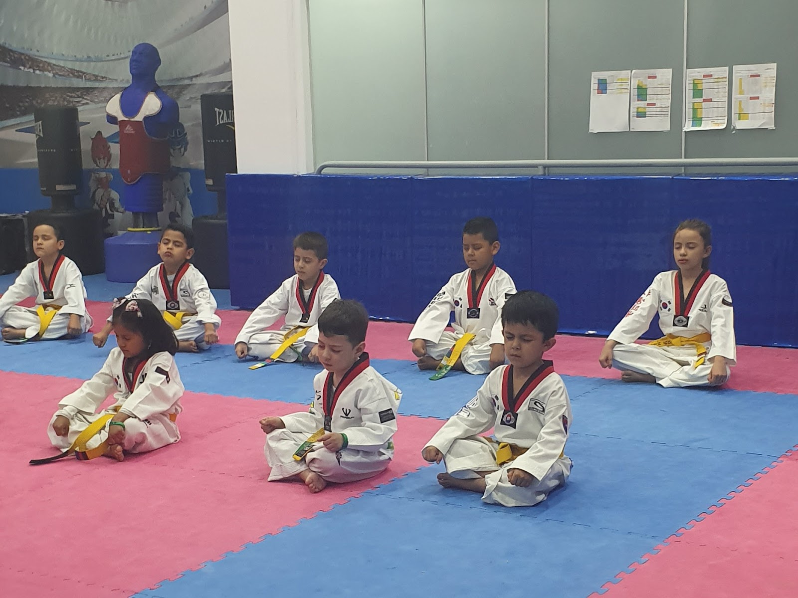 Lafitte Taekwondo