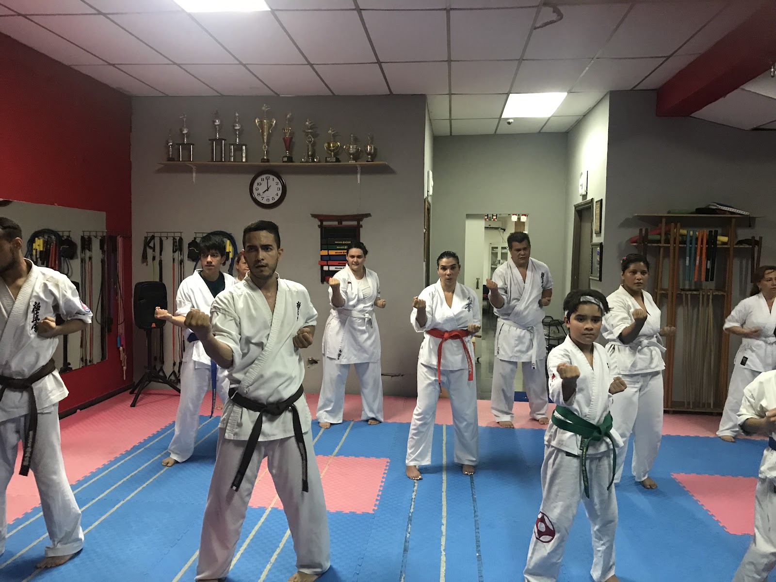 Karate Kyokushin Panamá Daruma Dojo PTY — Karate en Panamá