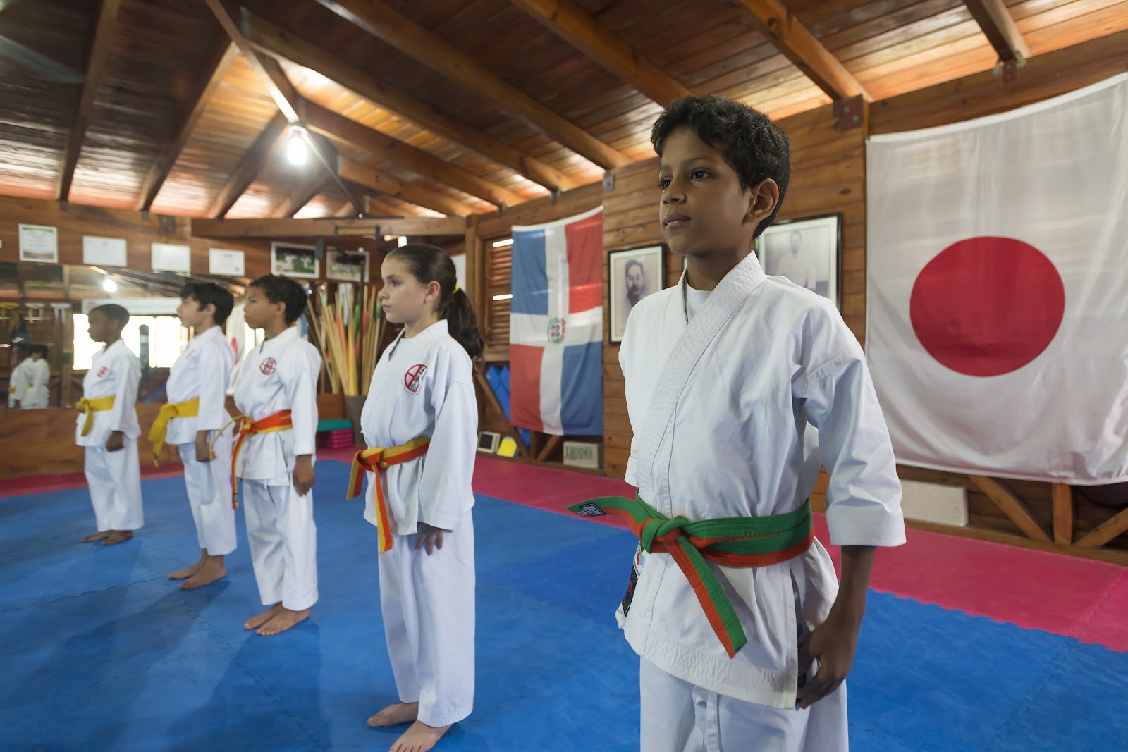 Dimitrova Dojo — Taekwondo en Santo Domingo