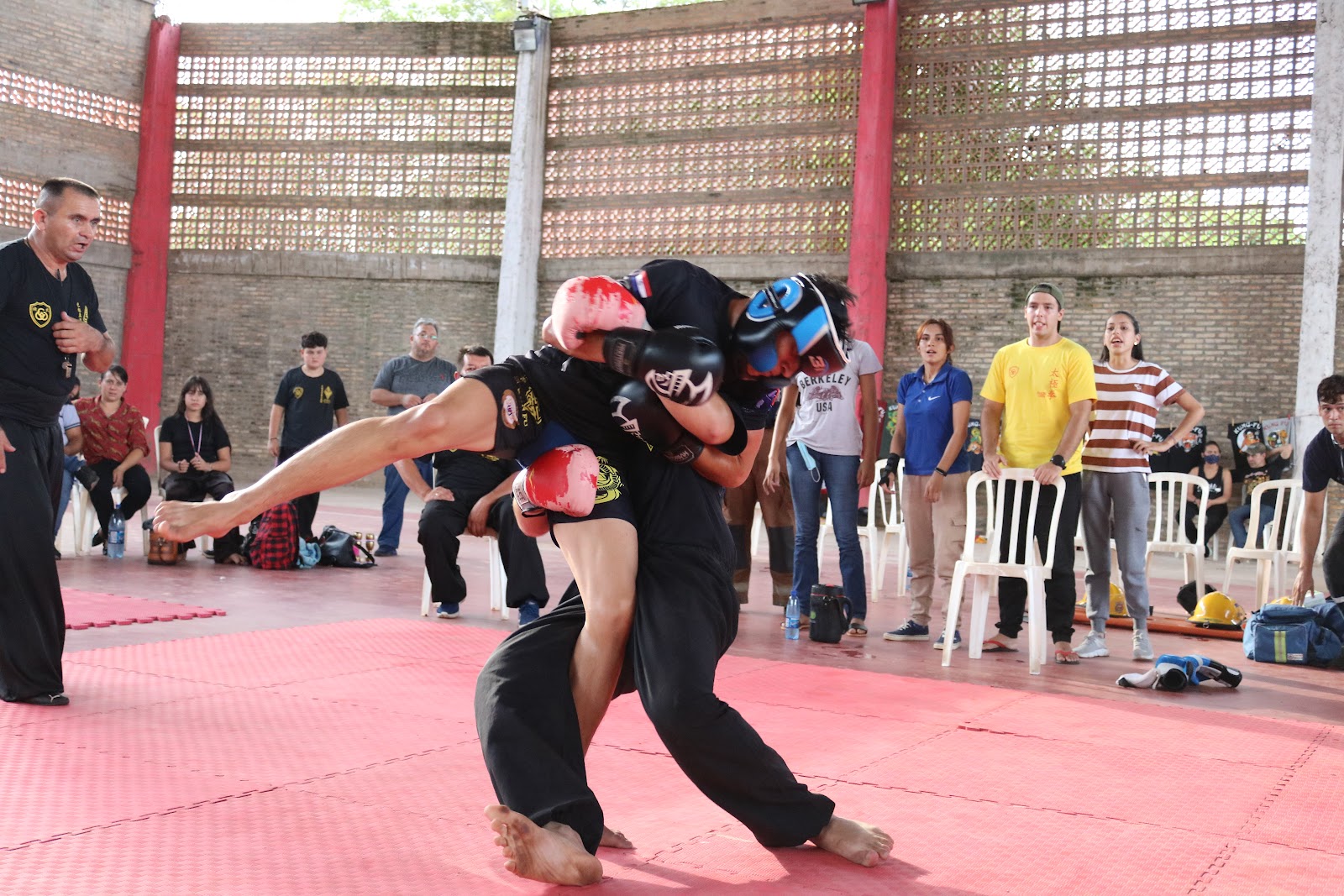 Academia Dragón Verde: Kung Fu, Boxeo y Kickboxing — Kung Fu en Caaguazú