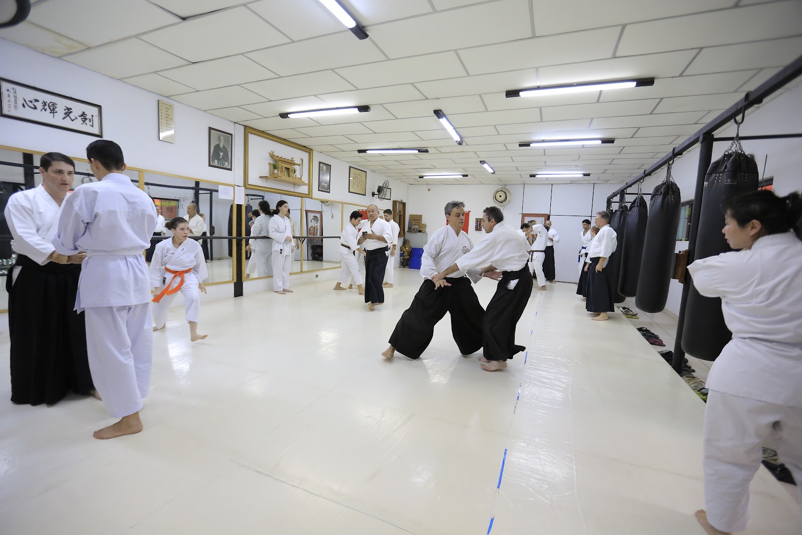 Segmento-Dojo Centro de Artes Marciais, Treinamento Funcional e Terapias Orientais