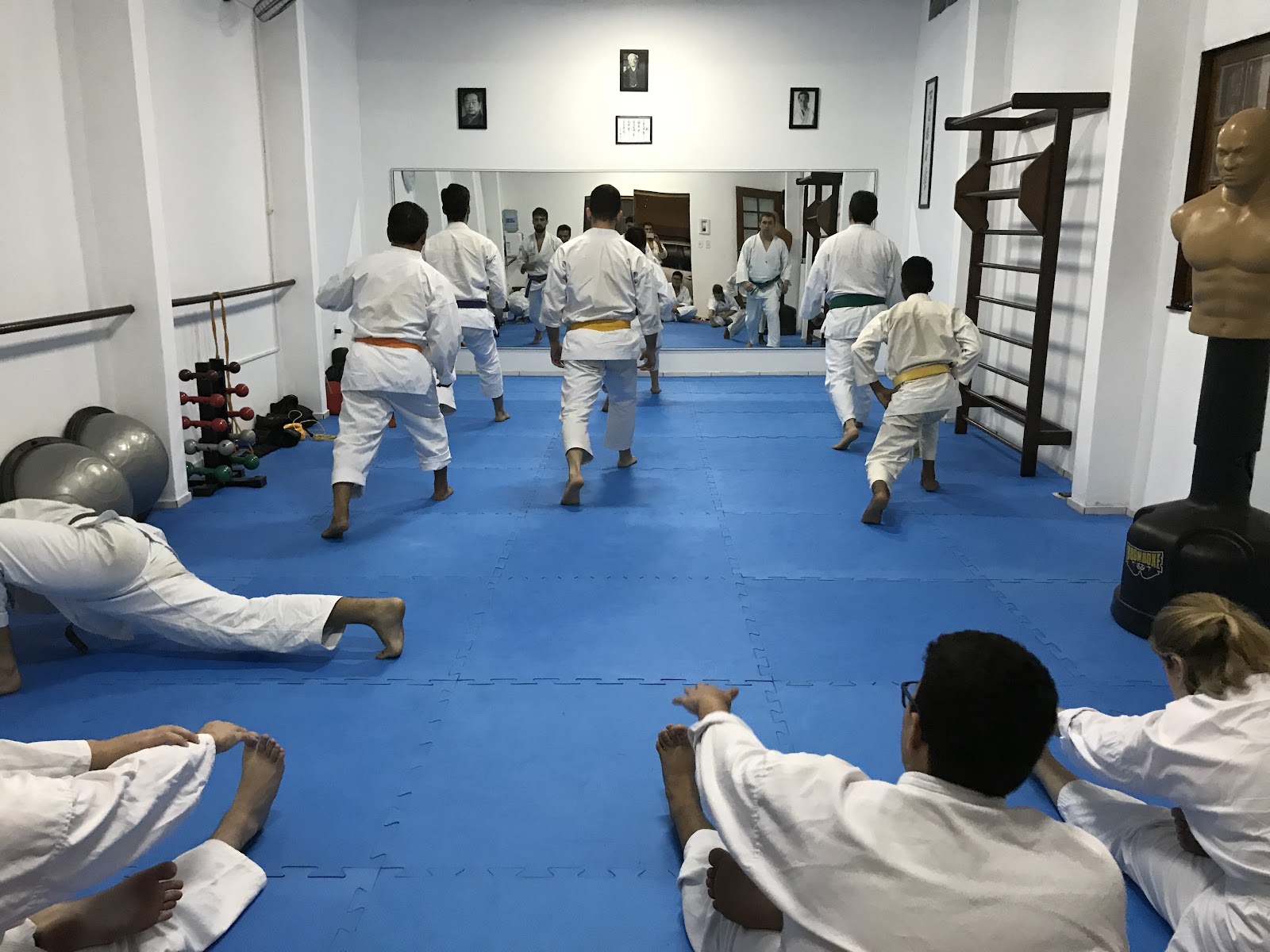 Seiryūkan - Karatê Shotokan