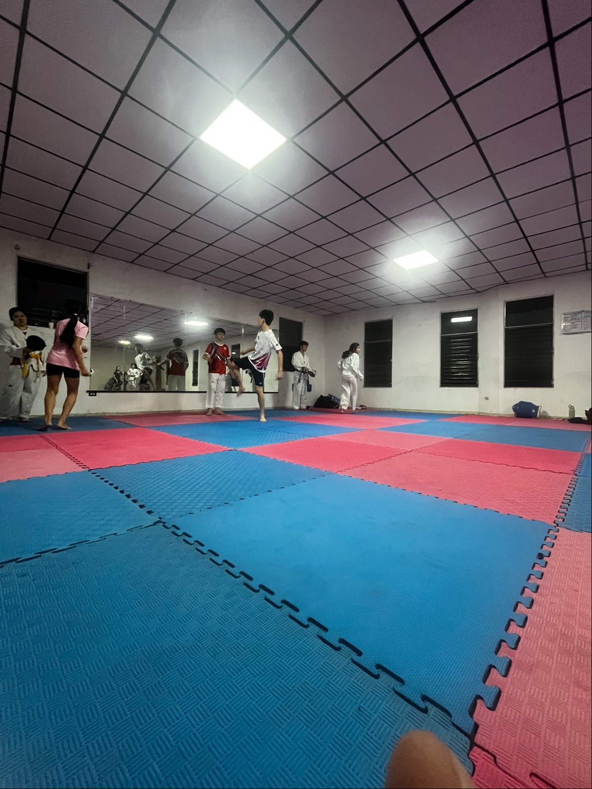 Academia De Taekwondo Leones — Taekwondo en Penonomé