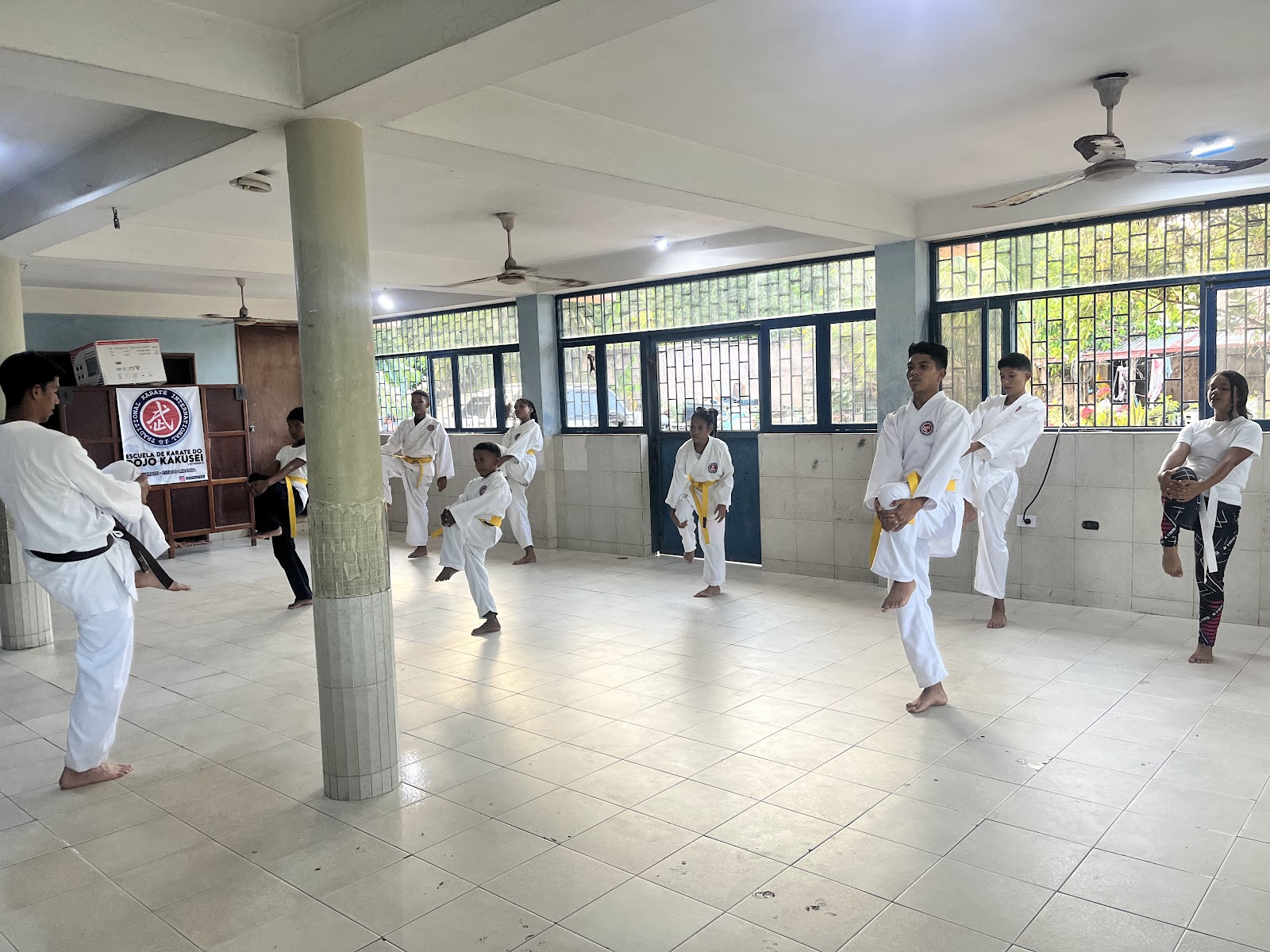 Dojo Kakusei