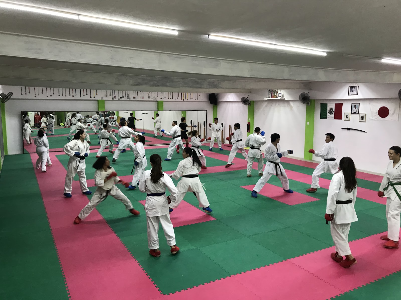 Dojo Valle