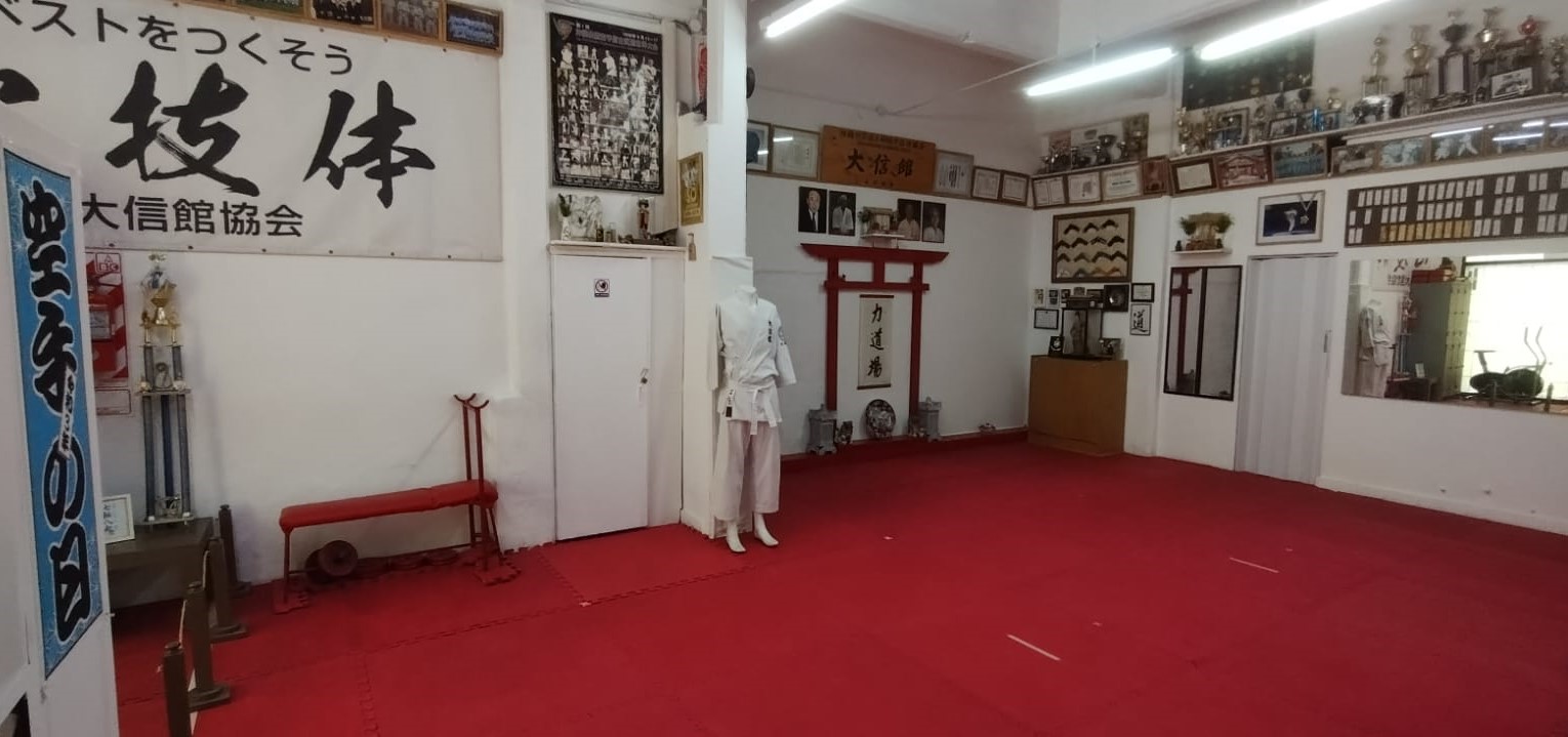 KARATE-DO SHORIN RYU TAISHINKAN CHIKARA DOJO — Karate en Buenos Aires