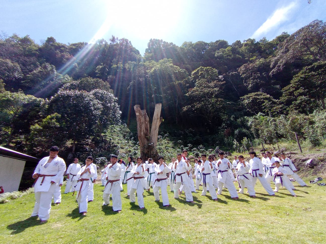 Tora Dojo Boquete — Karate en Los Naranjos