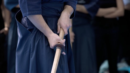 Aikido Shikanai SJCampos