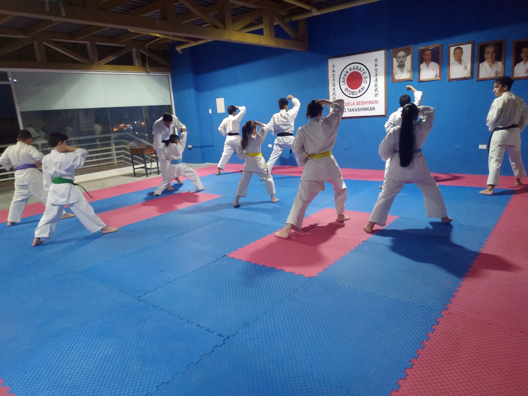 Dojo Takashinkan Japan Karate Do Ryobukai — Karate en Punto Fijo
