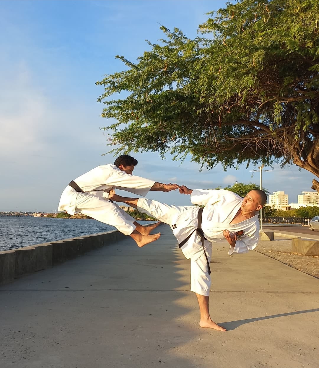 Dojo Maracaibo