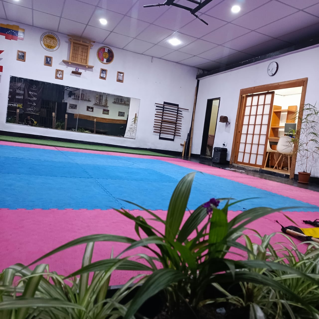 ACADEMIA KARATE DO TENSHIN BUGEI GAKUEN — Karate en Maracay