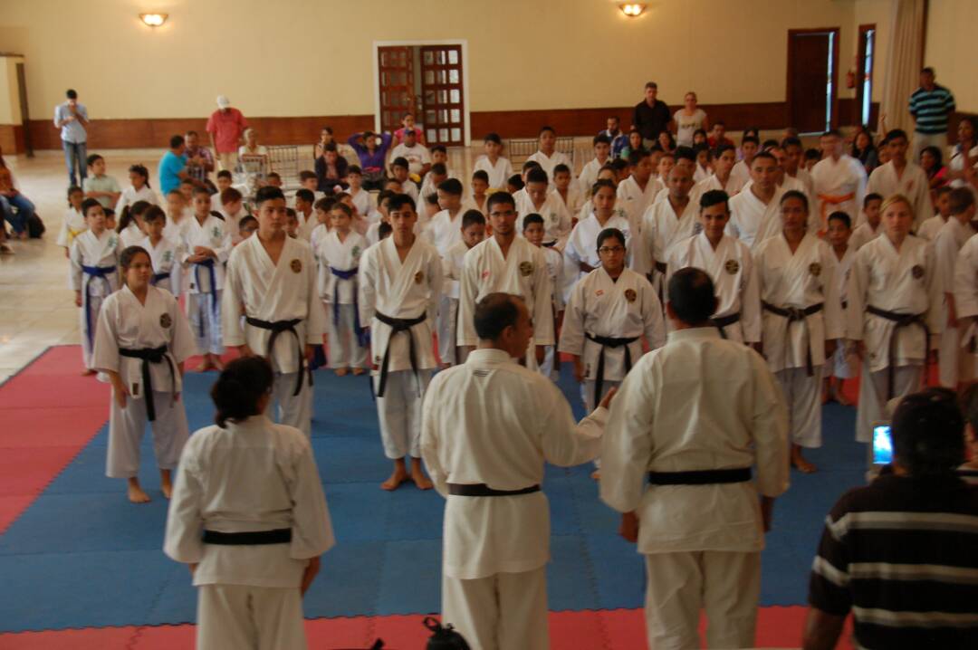 dojo eduardo maita