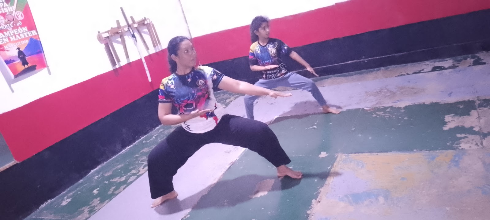Dojo Copaiba-Kan