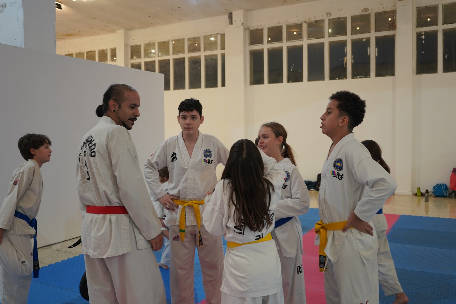Taekwondo Artes marciales