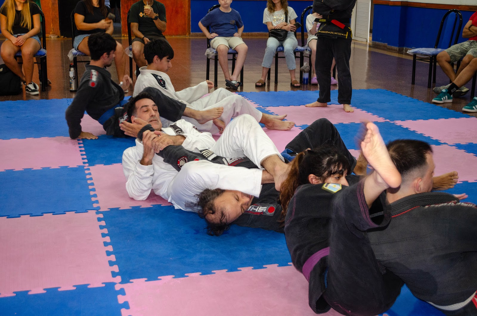 Jiu Jitsu en La Plata - Shark Team BJJ — Jiu-Jitsu en Tolosa