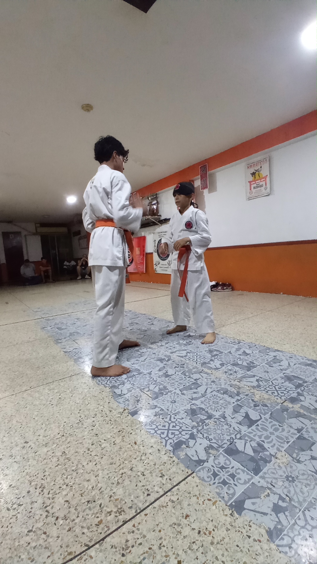 Escuela De Artes Marciales Casa Del Dragon
