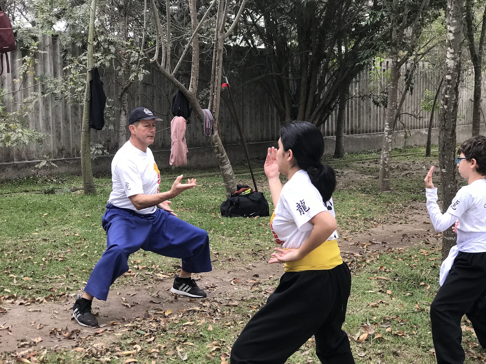 Kung Fu Profesor