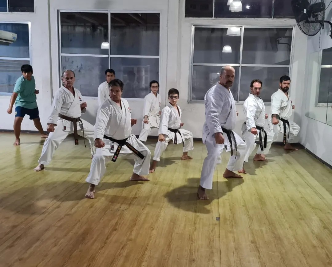 Karate y Kobudo Ryuei Ryu Argentina, Dojo Central — Karate en Buenos Aires