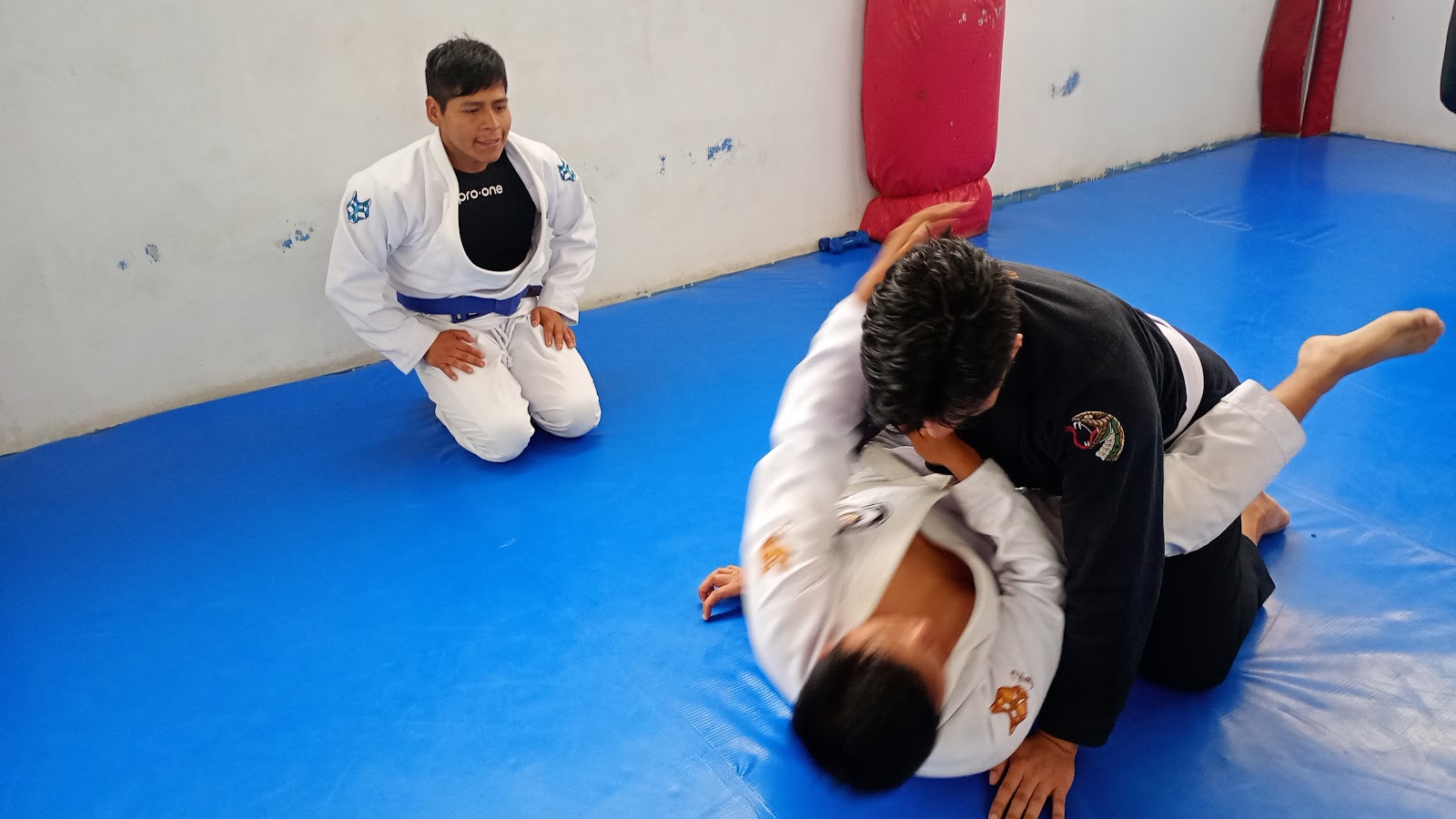 Monkey Jiu Jitsu Ica