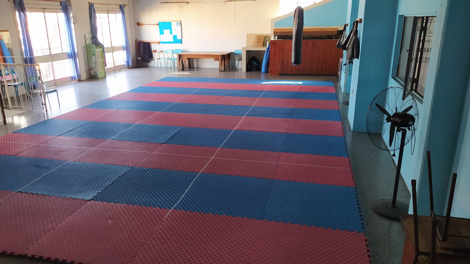 Academia Sae Jin - Federacion Uruguaya de Taekwondo