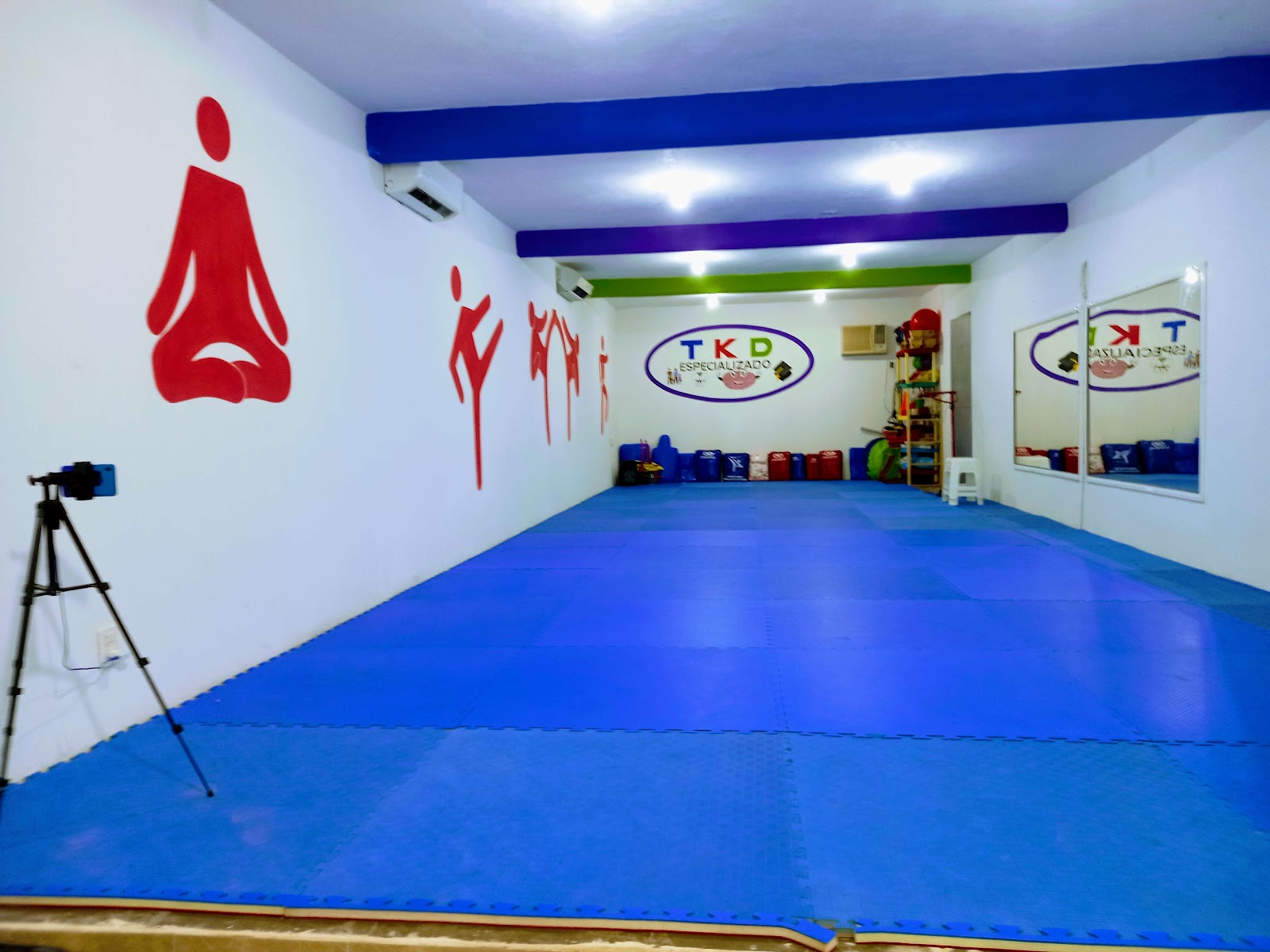 TAEKWONDO ESPECIALIZADO. VER — Taekwondo en Veracruz