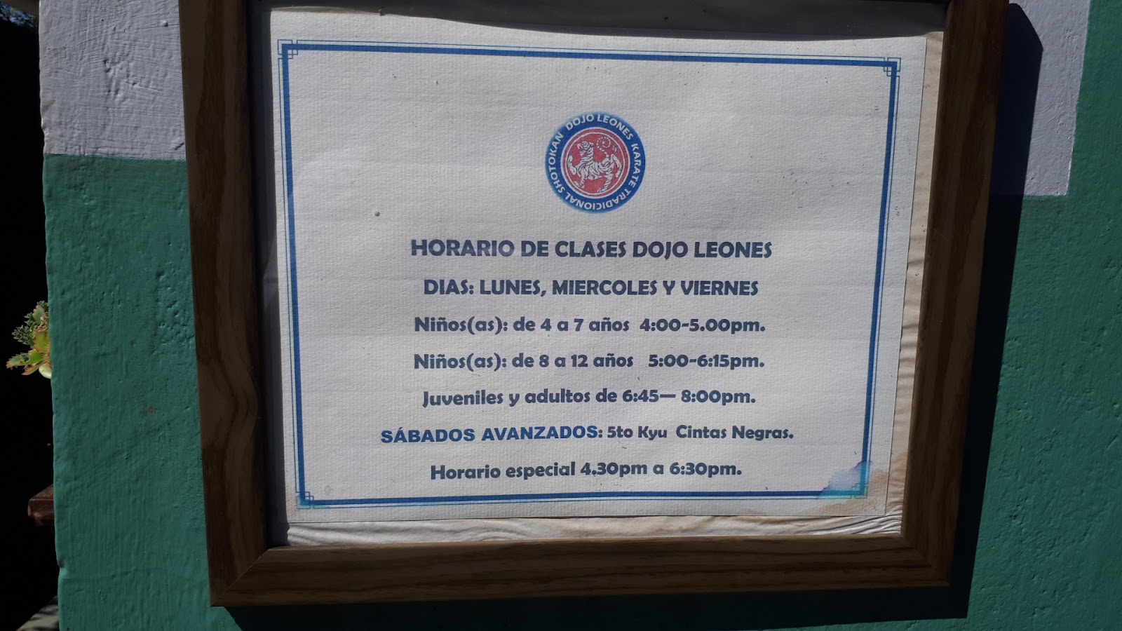 DOJO LEONES — Karate en David