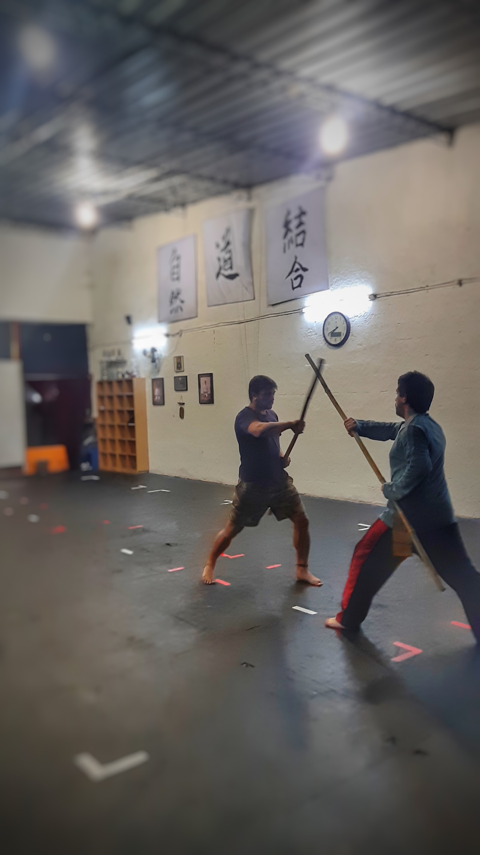 kung fu solymar