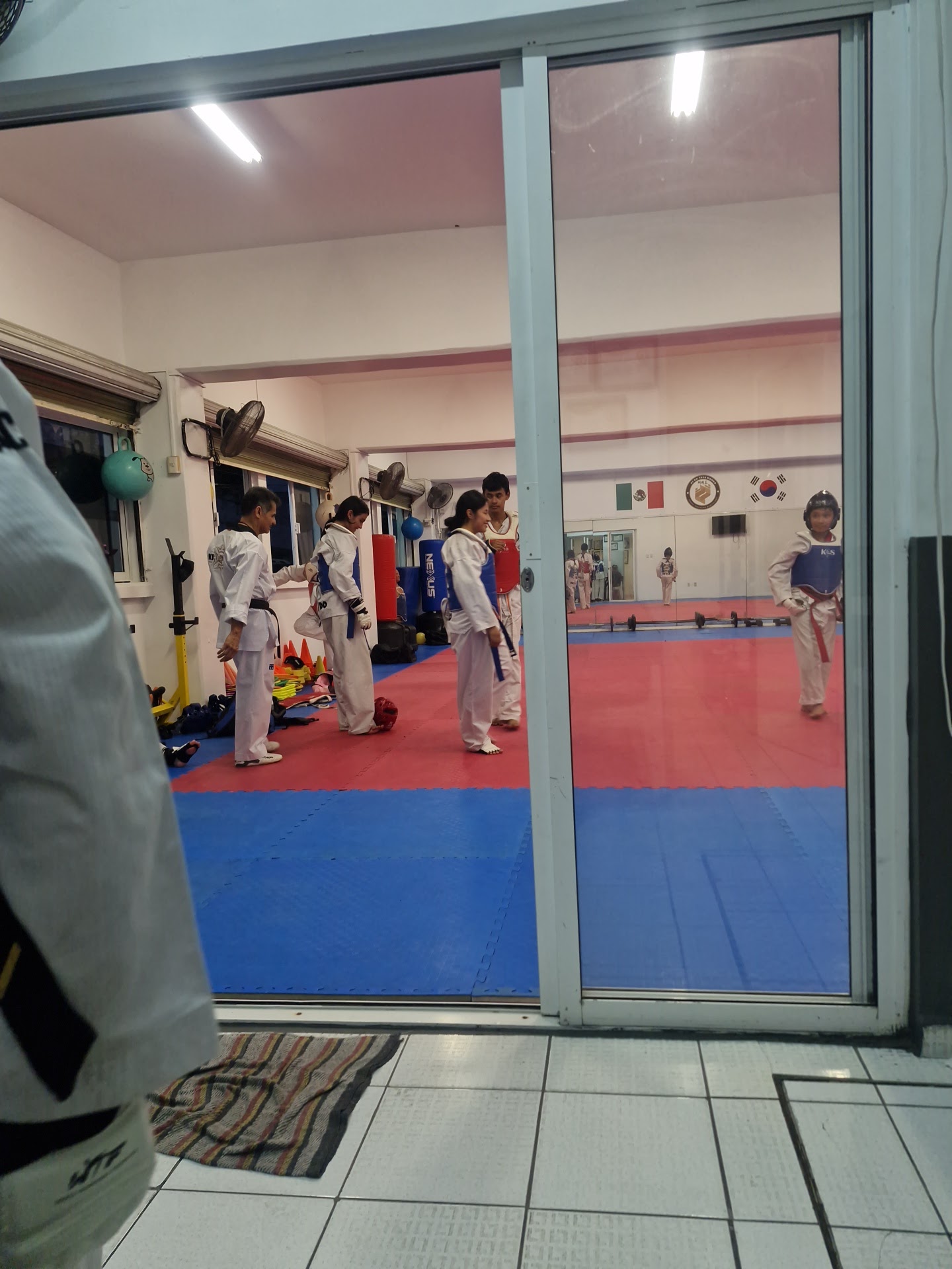 Kido Taekwondo — Taekwondo en Veracruz