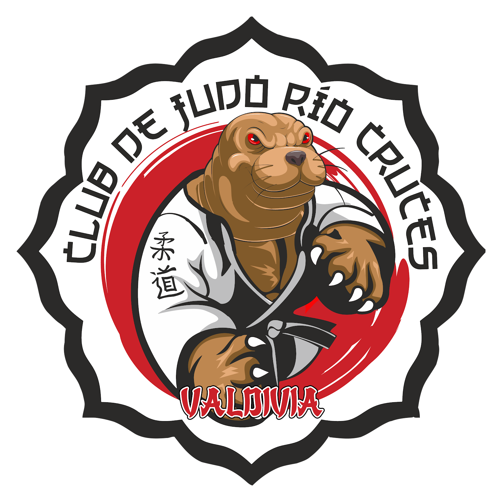 Club de Judo Río Cruces — Judo en Valdivia