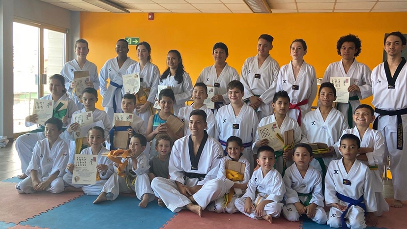 Academia de Taekwondo Soul — Taekwondo en Alajuela