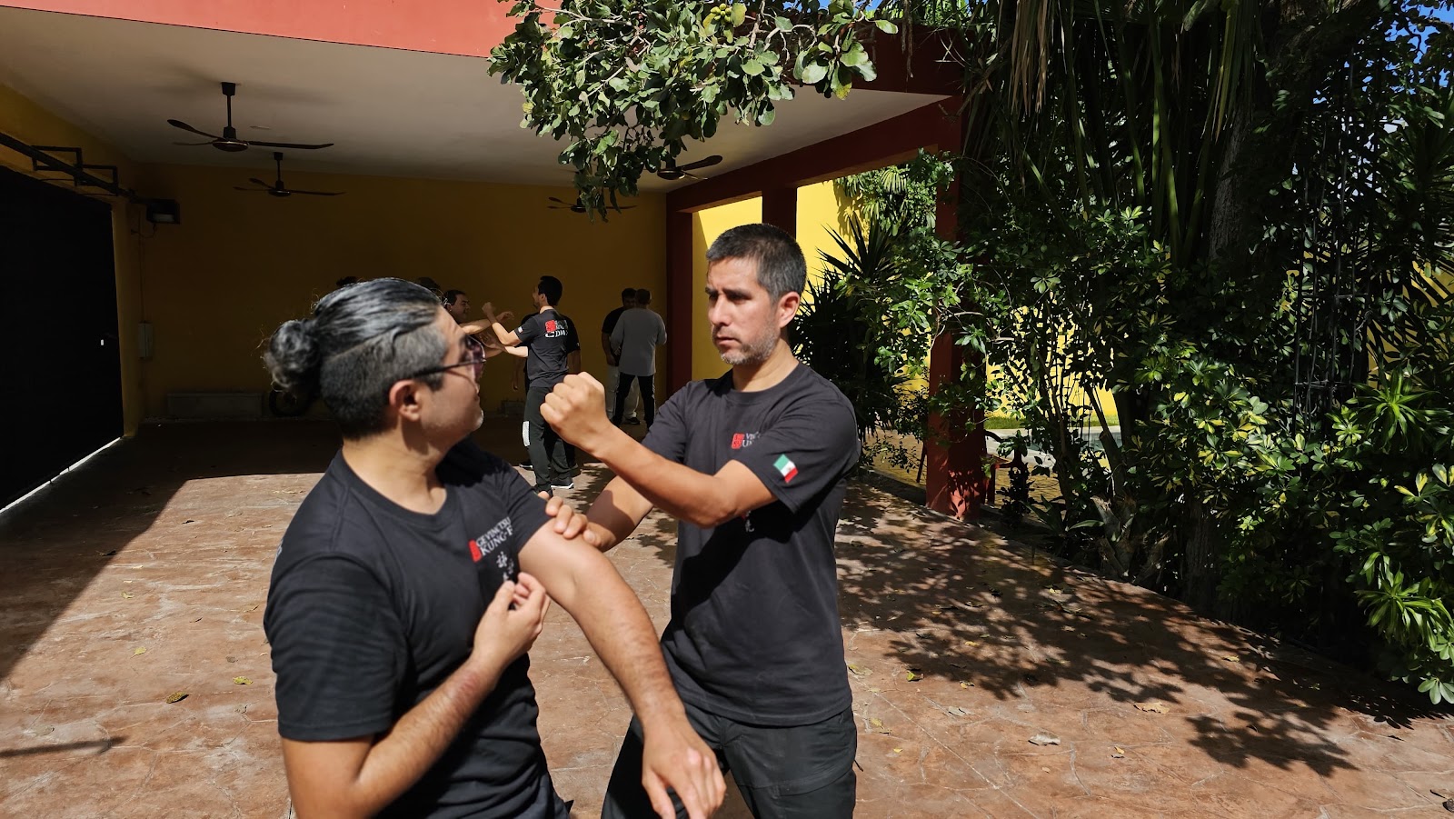 Ving Tsun KungFu Mérida — Wing Chun en Mérida
