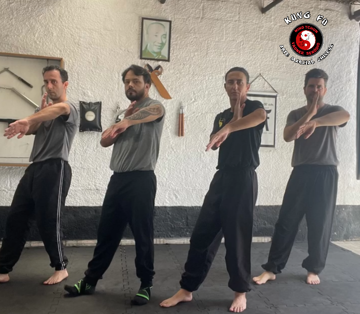 Kung Fu Wing tchun - Vagner Seródio