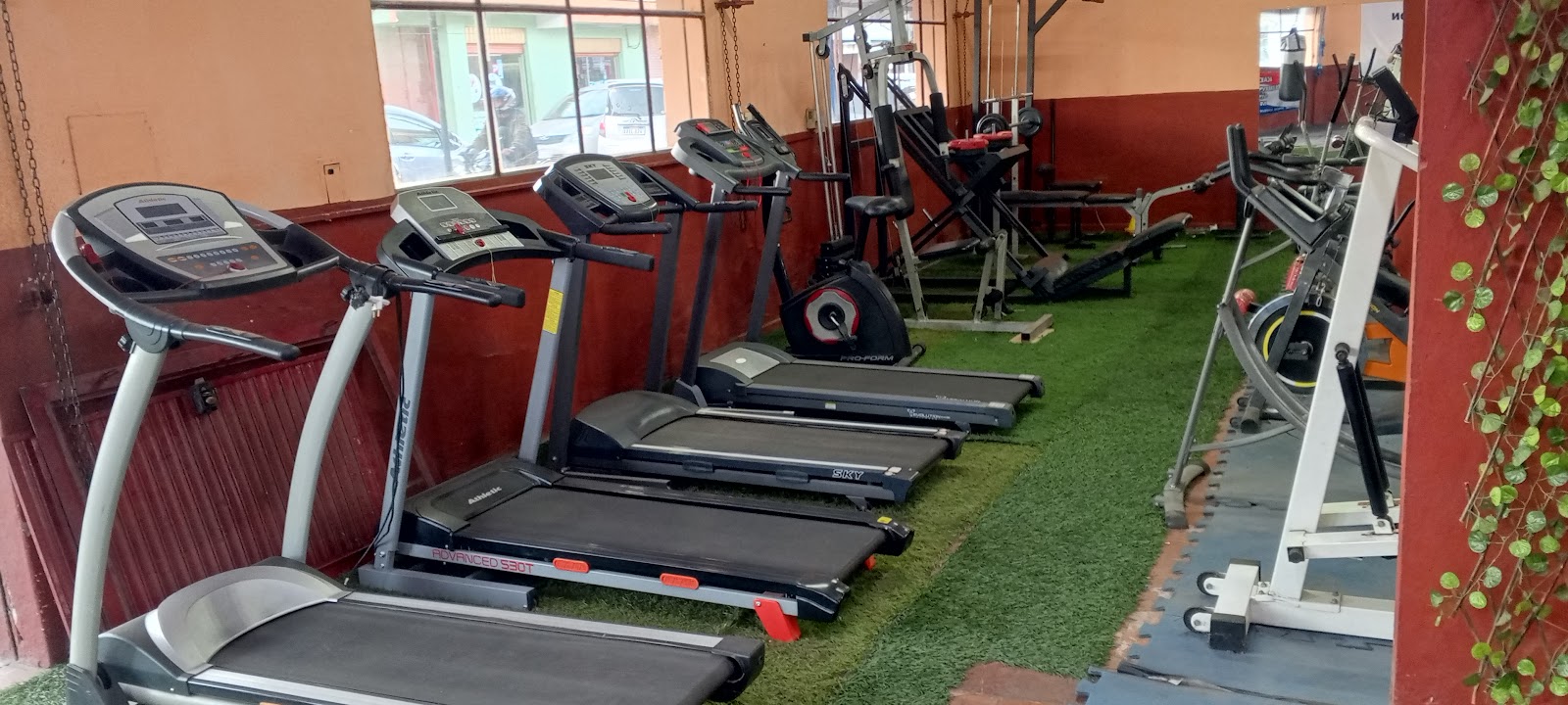 ACADEMIA ORIÓN TAEKWONDO ITF Y GYM — Taekwondo en Mariano Roque Alonso
