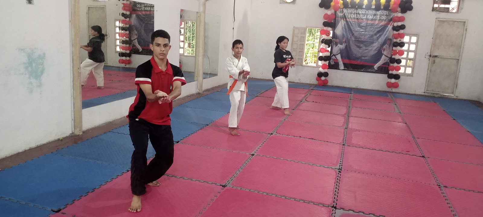 Gimnasio Karate Nihonme Wado Ryu — Karate en Ciudad Guayana