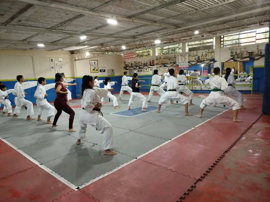 Dojo Shoko Sato — Jiu-Jitsu en Coro