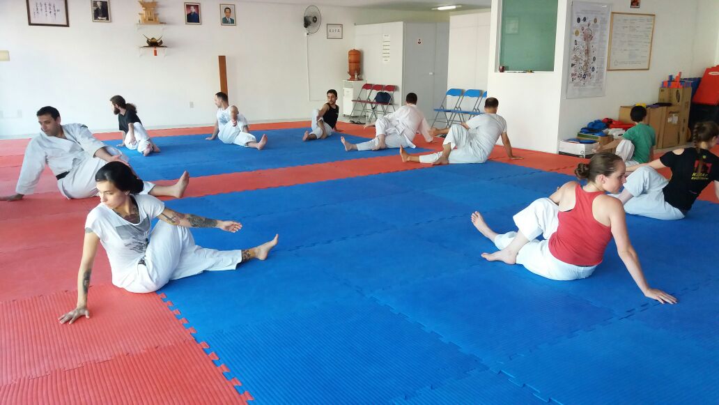 Instituto Shinjigenkan do Brasil
