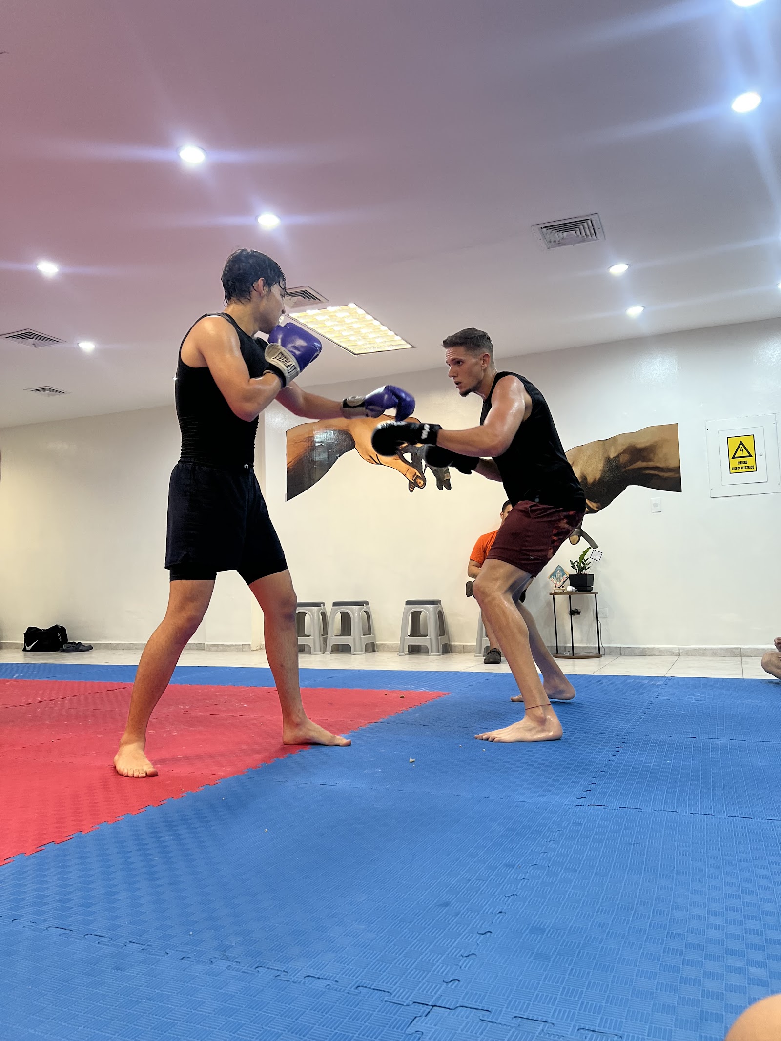 Isla BJJ Team Margarita Equipe 7 | Jiujitsu - Artes Marciales Mixtas — BJJ en Porlamar