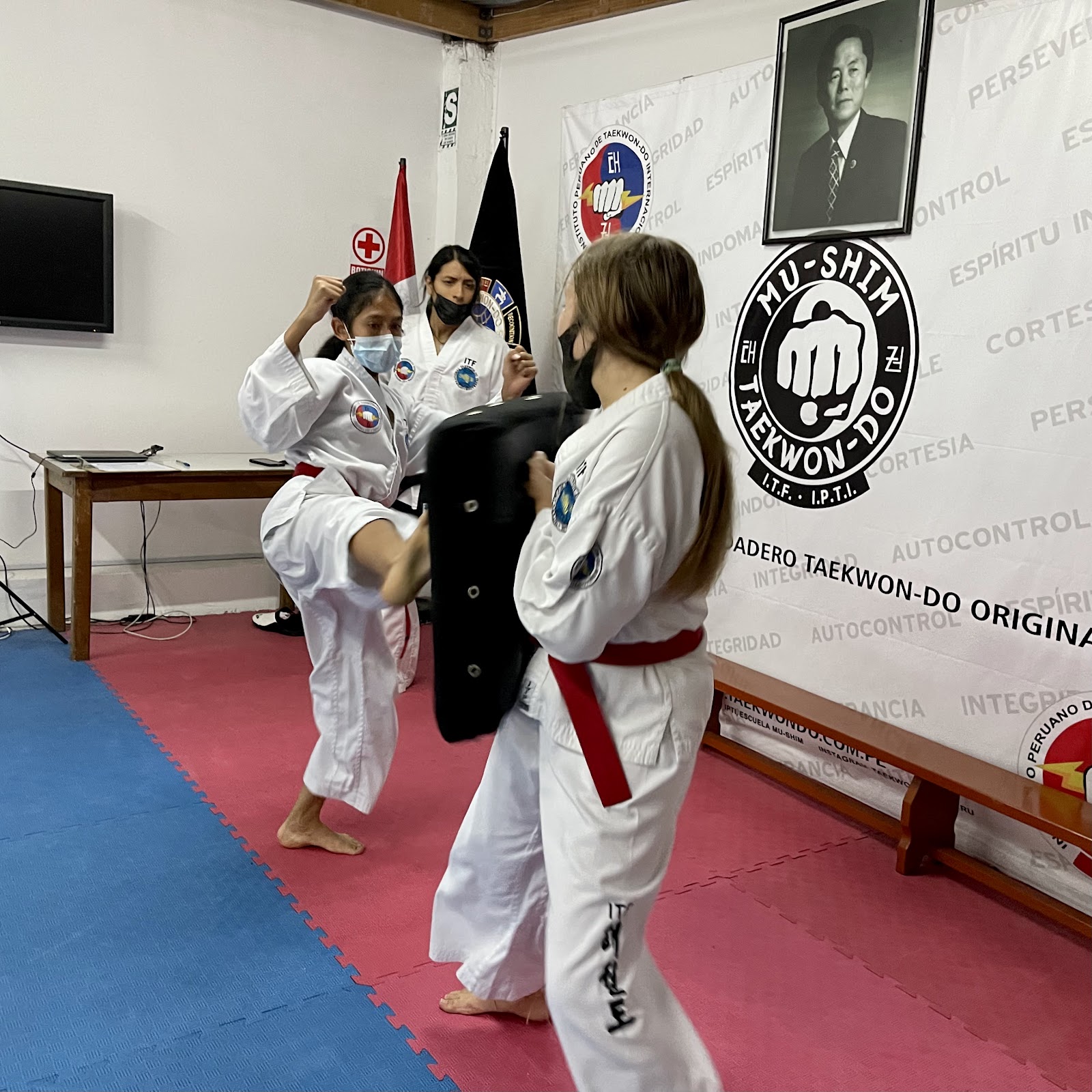 Instituto Peruano de Taekwon-Do Internacional