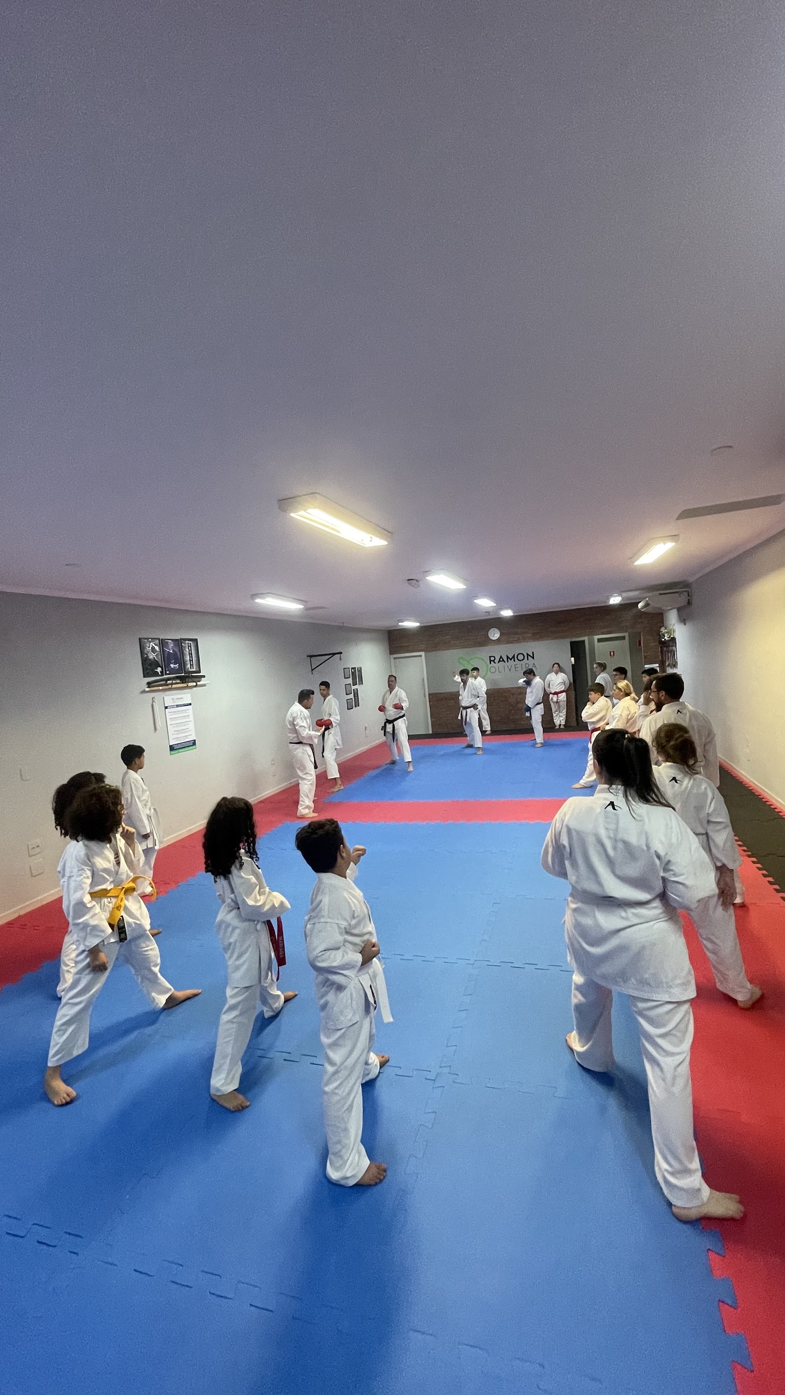 Ramon Oliveira Karatê Do Shotokan