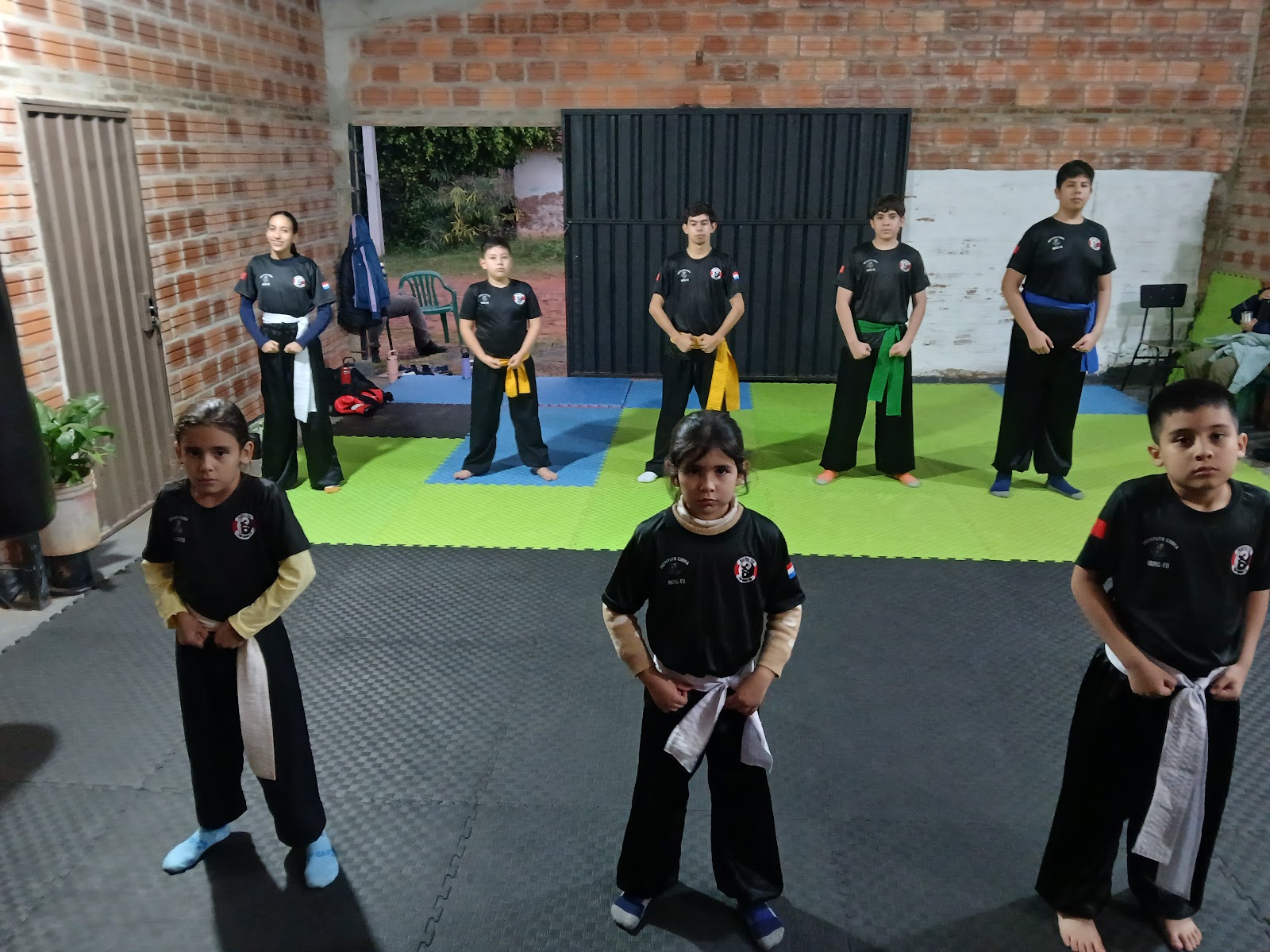 Instituto Cobra Kung Fu.