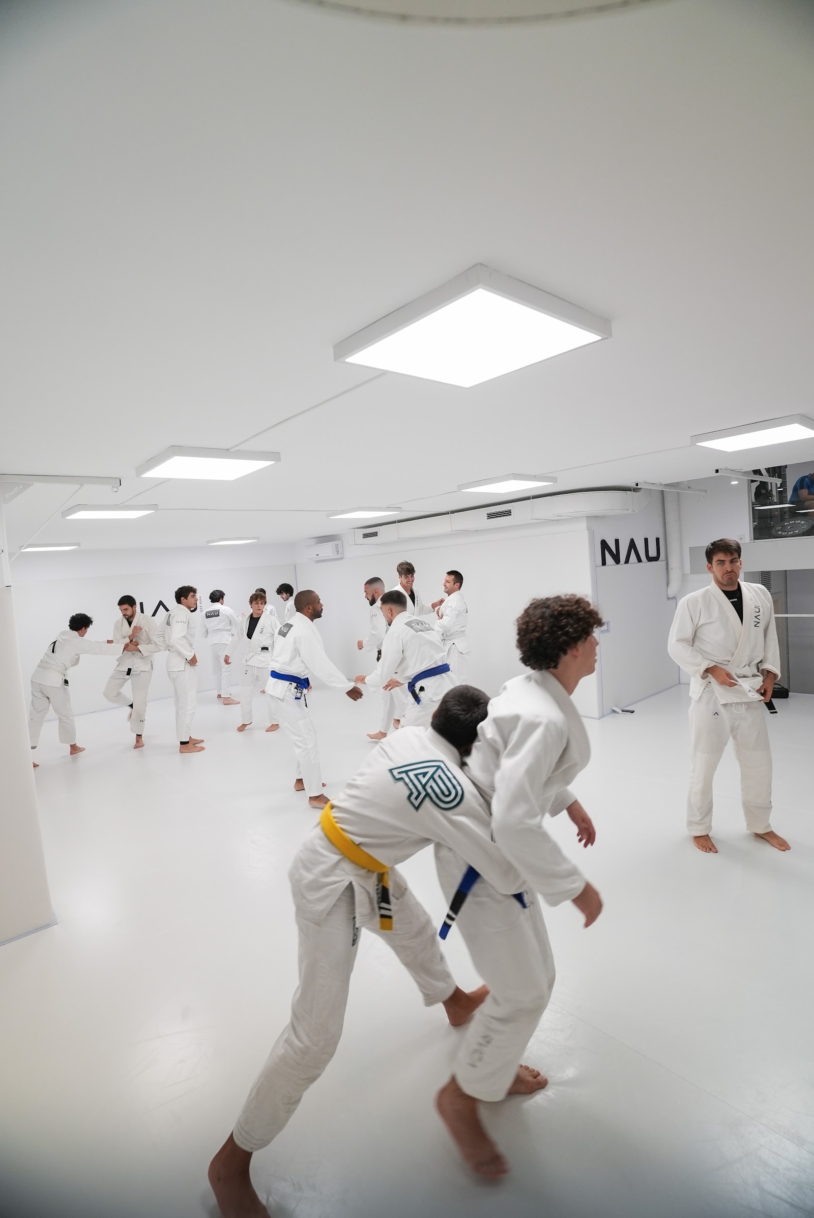 Nau Jiu Jitsu — Jiu-Jitsu en Barcelona