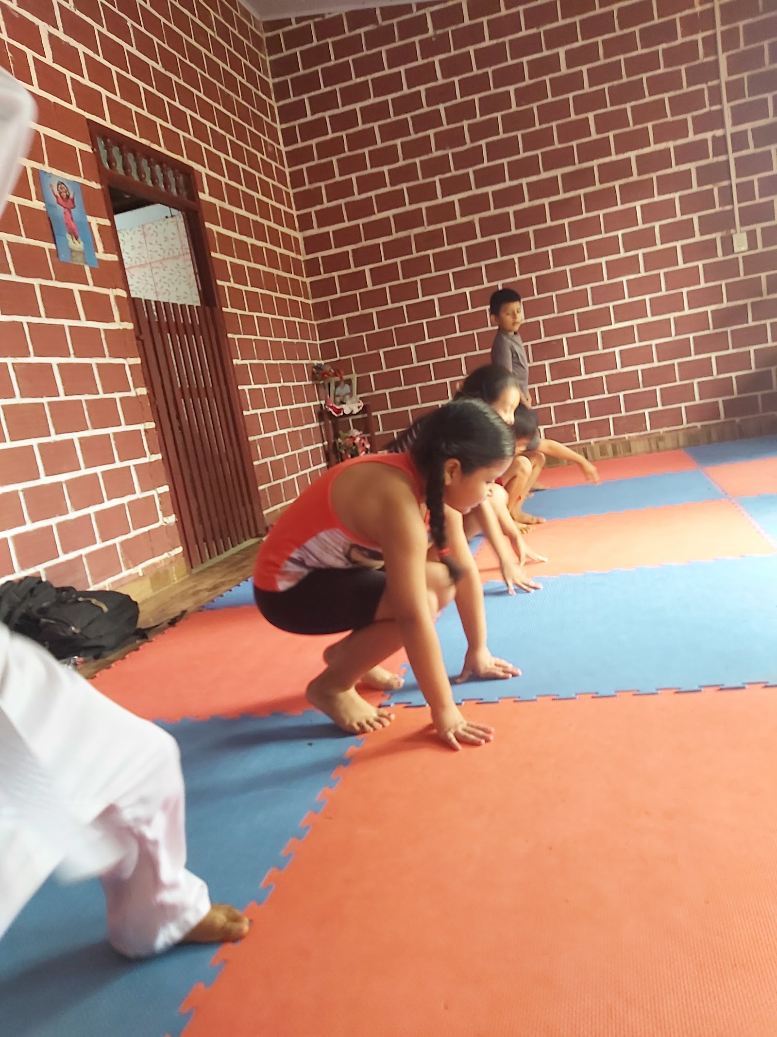 SHEISHIN DOJO (KARATE DO )