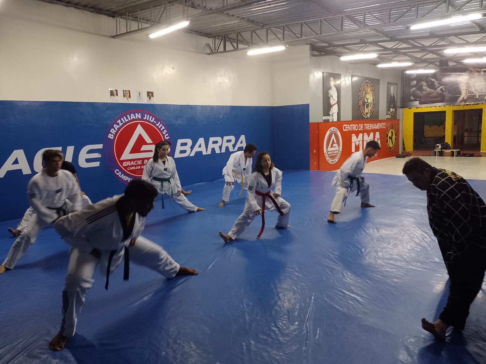 Associação Tigres De Taekwondo