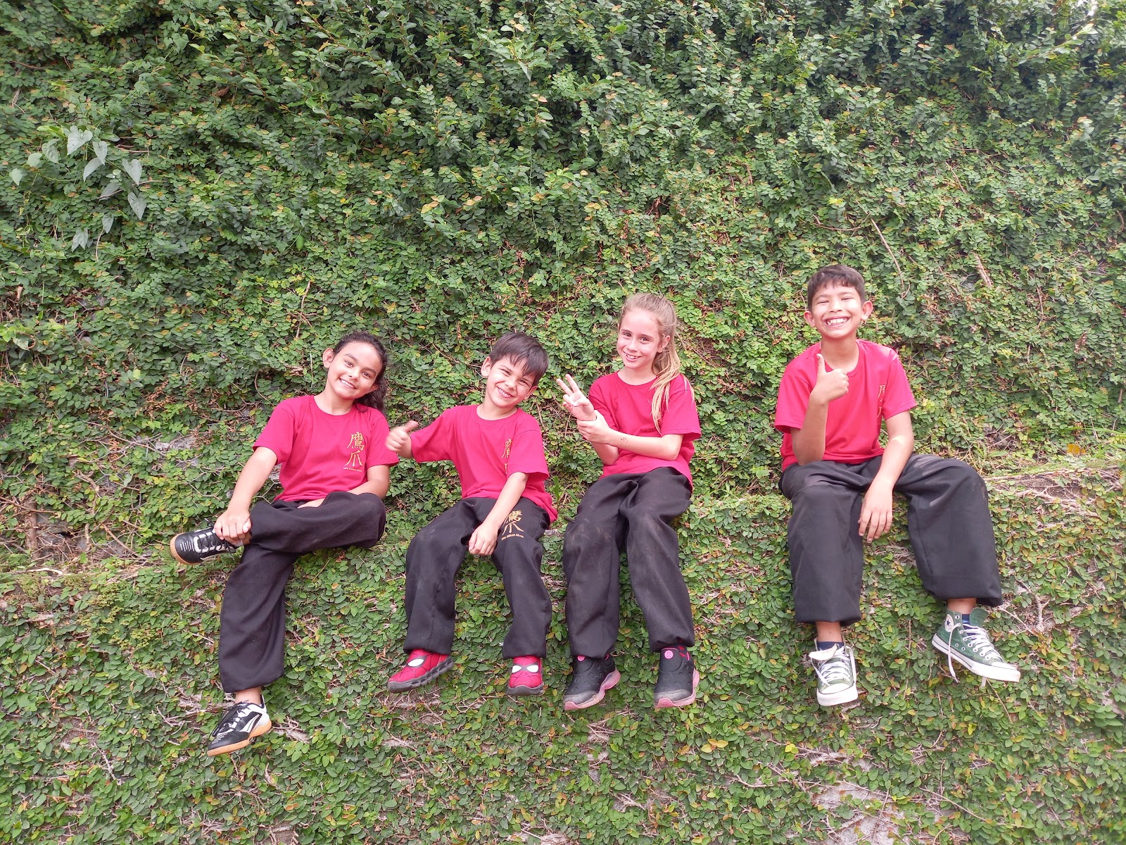 Escola kung Fu Blumenau