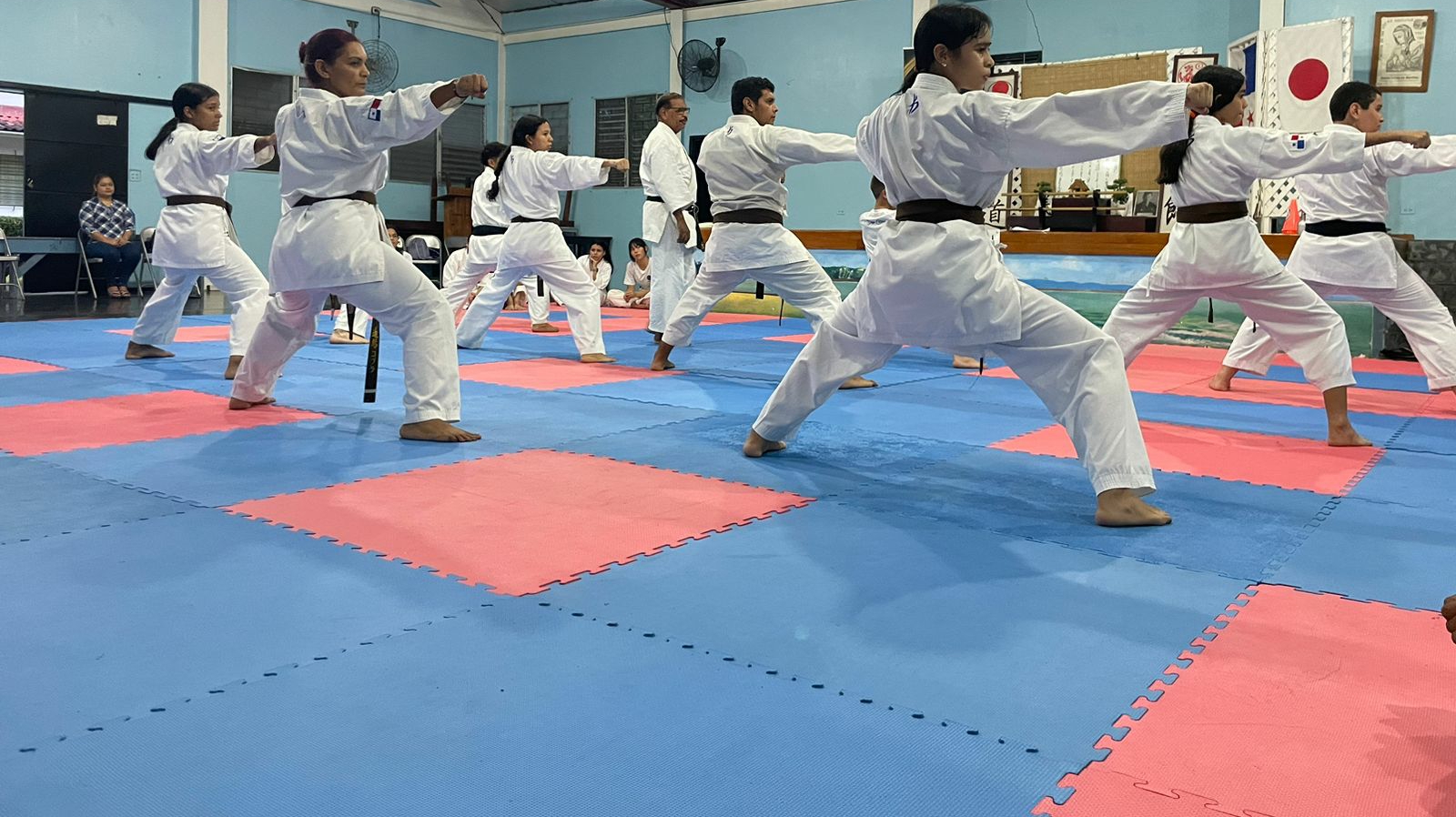 Concepción Shotokan Panamá Dojo Cobra — Karate en Puerto Armuelles