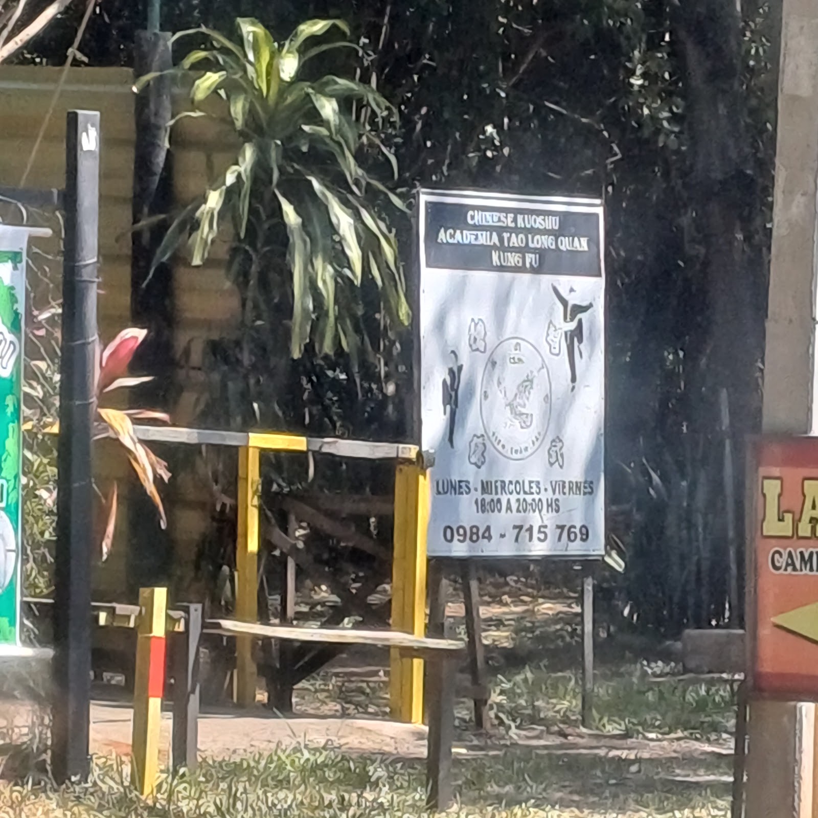 Tal Long Quan kung fu filial capiata — Kung Fu en Capiatá
