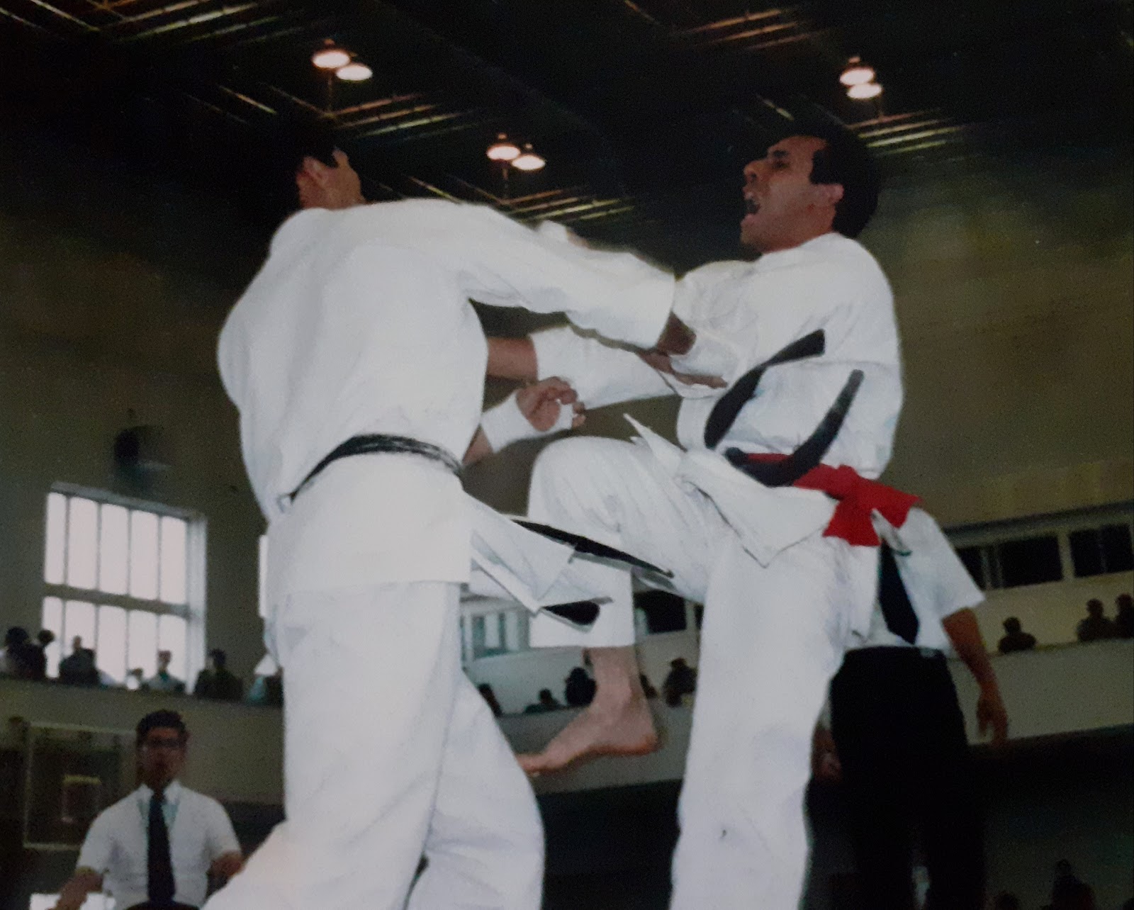 Karate & Kobudo Seishinkan — Karate en Morón