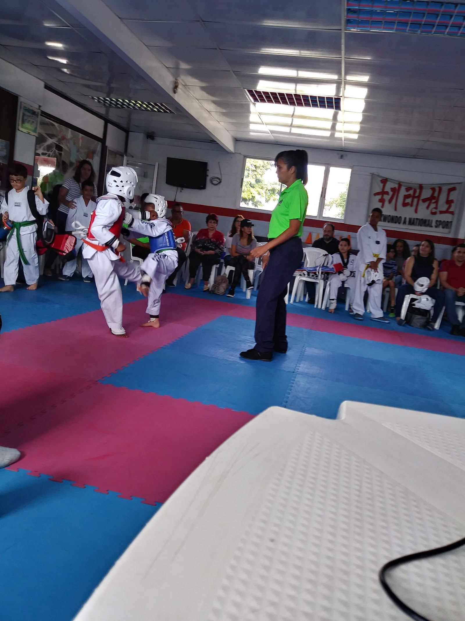 Maldonado's Taekwondo Academy — Taekwondo en Santo Domingo