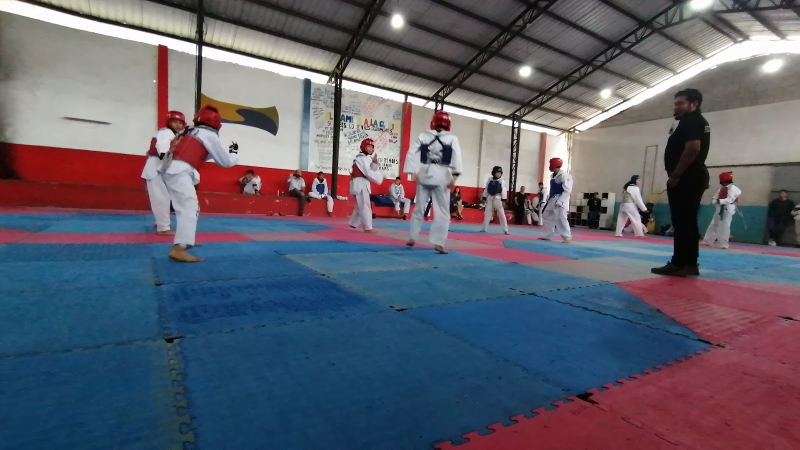Taekwondo Santo Domingo — Taekwondo en Santo Domingo